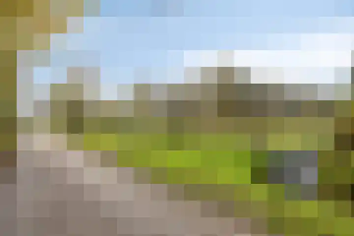 Hoge Hofstraat 3 Dodewaard thumbnail 35