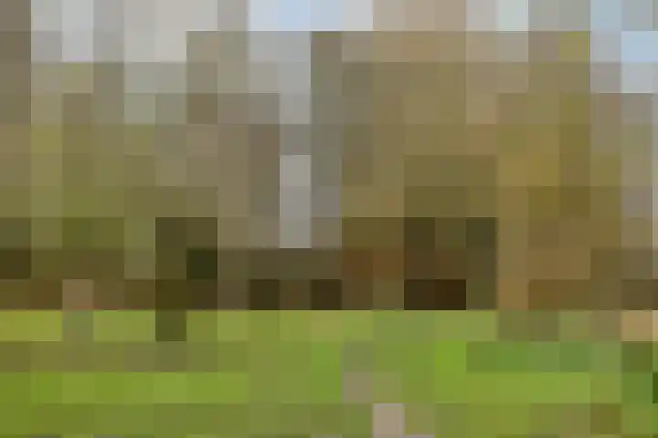 Hoge Hofstraat 3 Dodewaard thumbnail 36