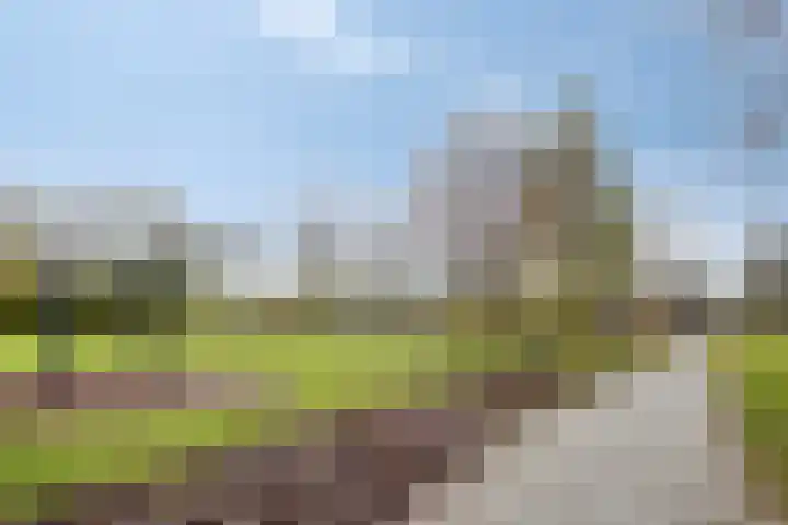 Hoge Hofstraat 3 Dodewaard thumbnail 37