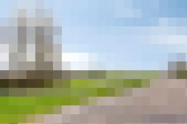 Hoge Hofstraat 3 Dodewaard thumbnail 39