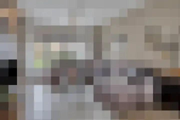 Hoge Hofstraat 3 Dodewaard thumbnail 4