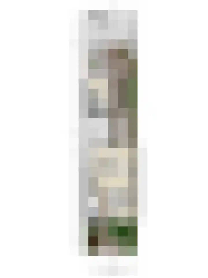 Hoge Hofstraat 3 Dodewaard thumbnail 42