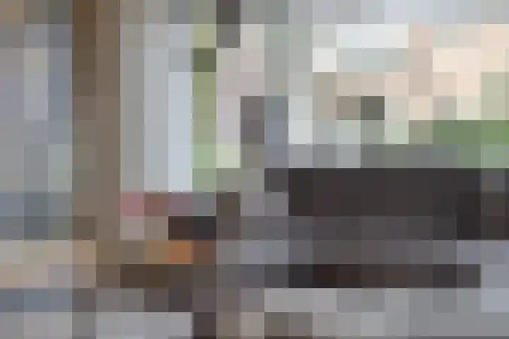 Hoge Hofstraat 3 Dodewaard thumbnail 5