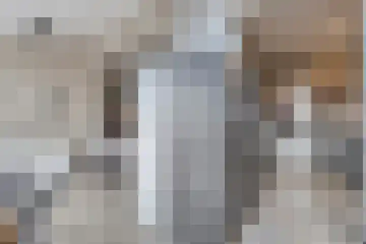 Hoge Hofstraat 3 Dodewaard thumbnail 8