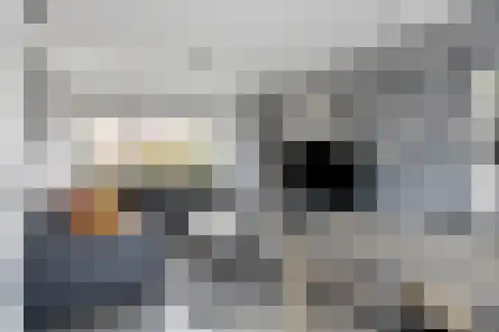 Hoge Hofstraat 8 Dodewaard thumbnail 11