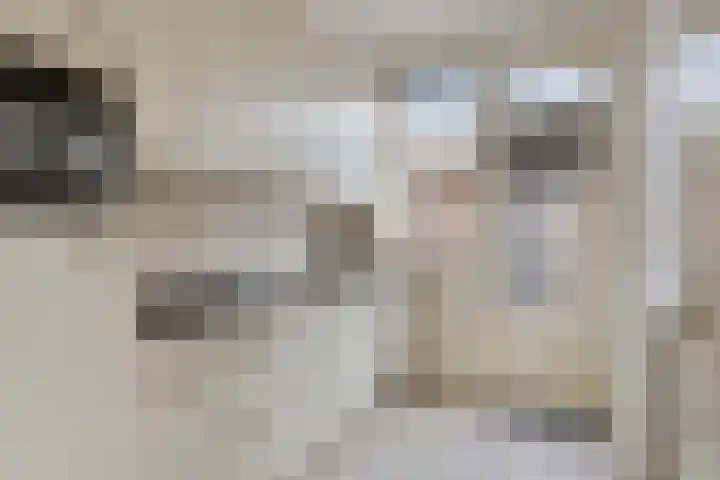 Hoge Hofstraat 8 Dodewaard thumbnail 14