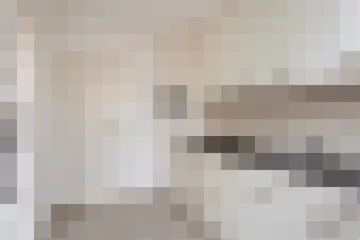 Hoge Hofstraat 8 Dodewaard thumbnail 15