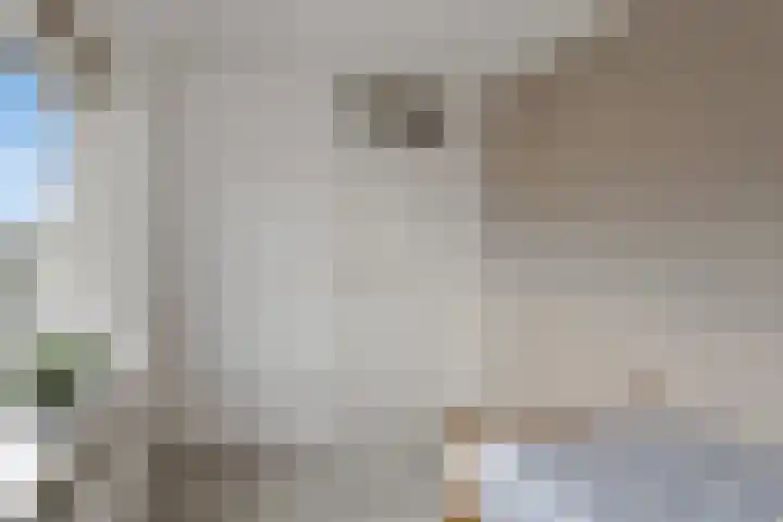 Hoge Hofstraat 8 Dodewaard thumbnail 24