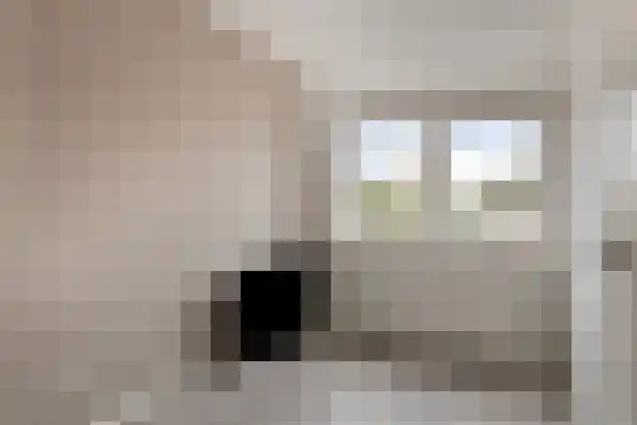 Hoge Hofstraat 8 Dodewaard thumbnail 25