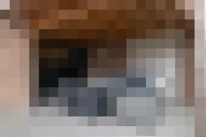 Hoge Hofstraat 8 Dodewaard thumbnail 28