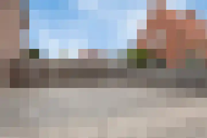 Hoge Hofstraat 8 Dodewaard thumbnail 5