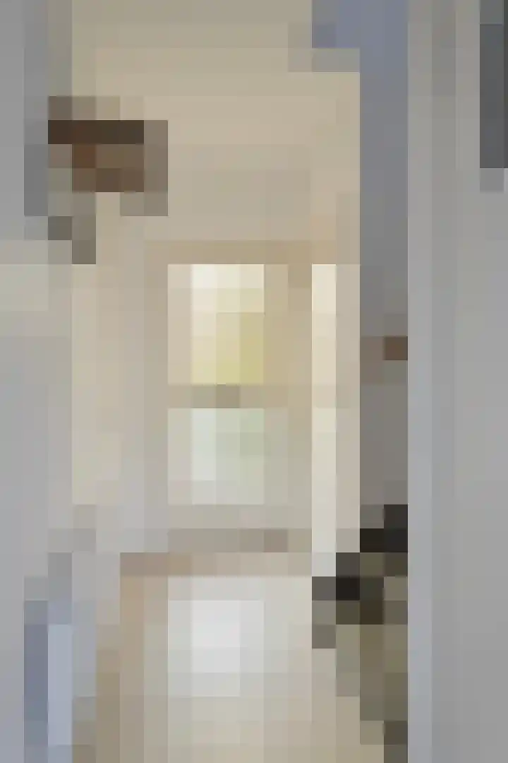Hoge Hofstraat 8 Dodewaard thumbnail 7