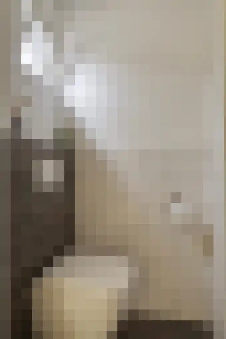 Hoge Hofstraat 8 Dodewaard thumbnail 8