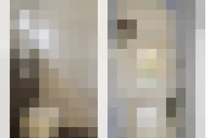 Hoge Hofstraat 8 Dodewaard thumbnail 9