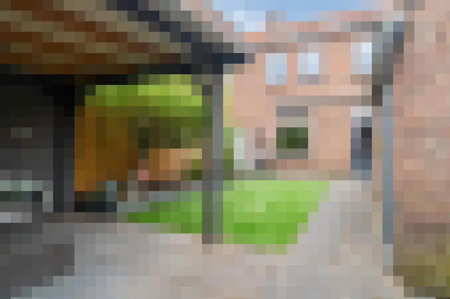 Hoge Hondstraat 155 Deventer thumbnail 20