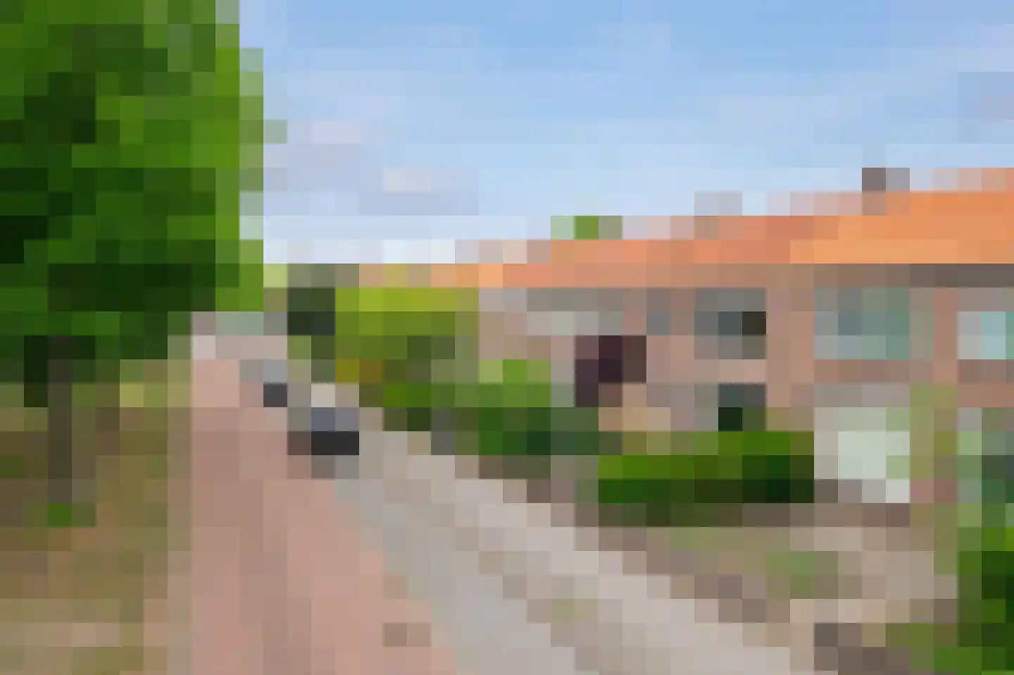 Hoge Hondstraat 155 Deventer thumbnail 27
