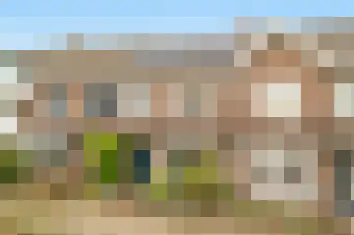 Hoge Hondstraat 21 Deventer thumbnail 30