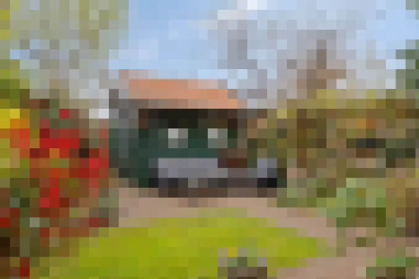 Hoge Hondstraat 95 Deventer thumbnail 25