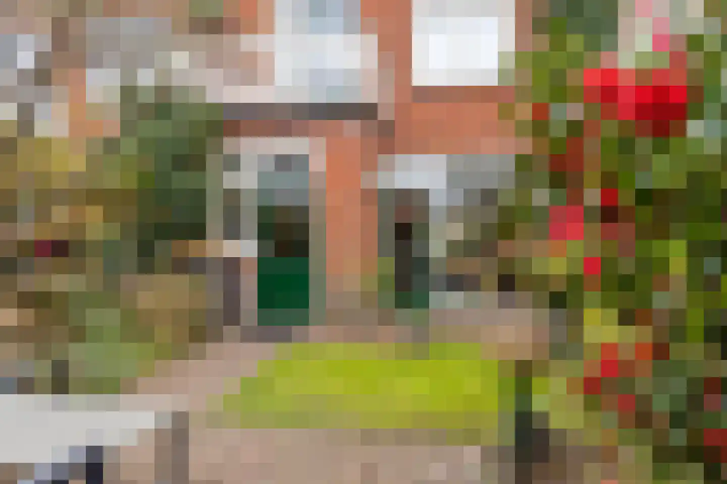 Hoge Hondstraat 95 Deventer thumbnail 26