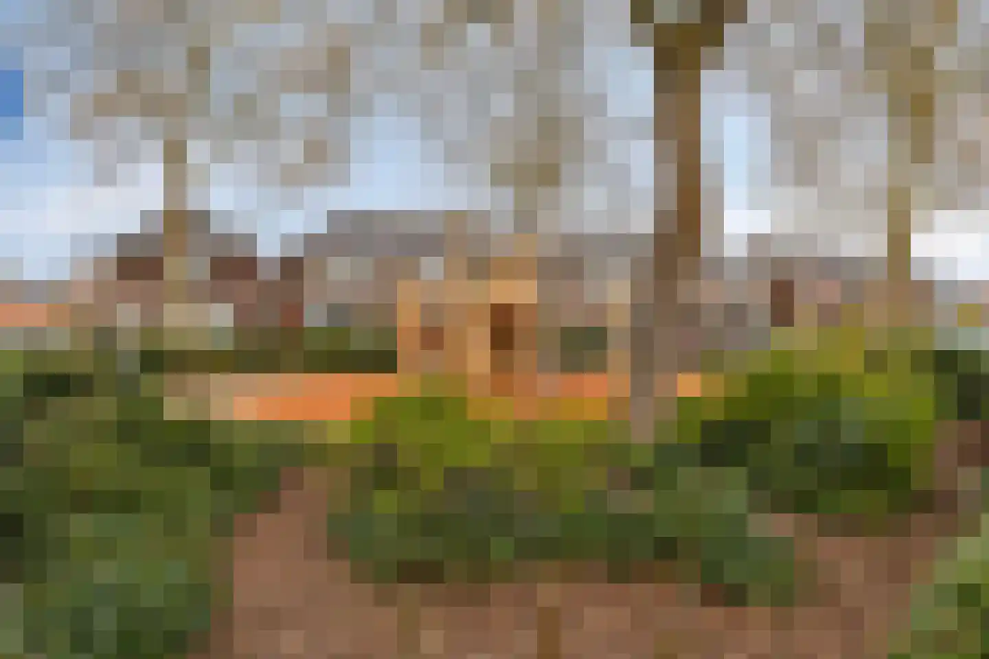 Hoge Hondstraat 95 Deventer thumbnail 32