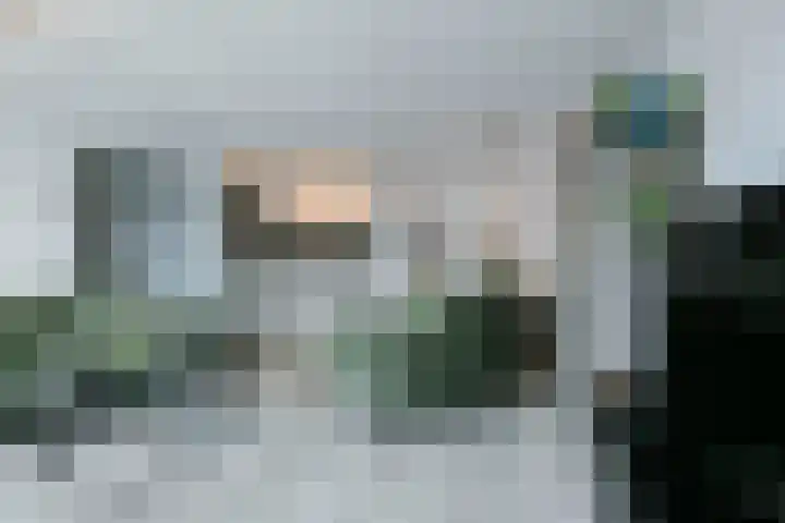 Hoge Horn 15 Zaandam thumbnail 10