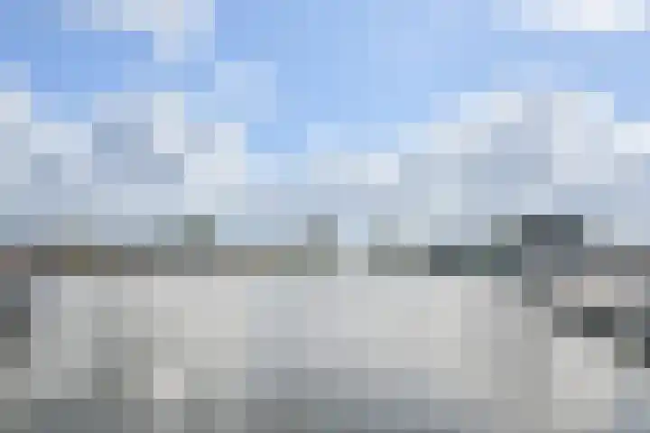 Hoge Horn 15 Zaandam thumbnail 15