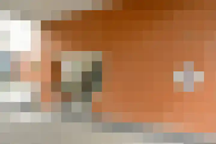 Hoge Horn 15 Zaandam thumbnail 27
