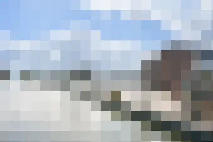 Hoge Horn 15 Zaandam thumbnail 34