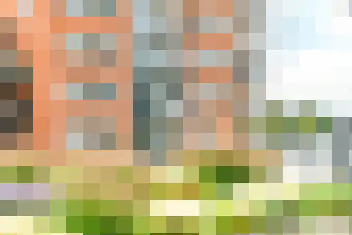 Hoge Horn 15 Zaandam thumbnail 4
