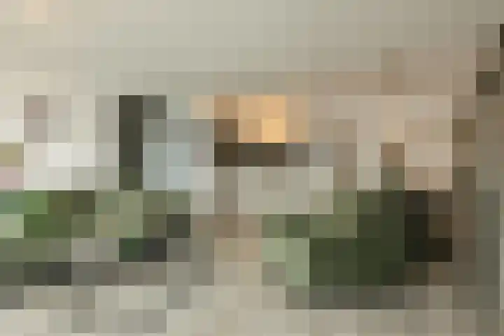 Hoge Horn 15 Zaandam thumbnail 7