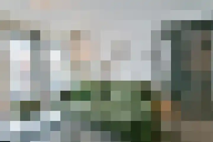 Hoge Horn 15 Zaandam thumbnail 9