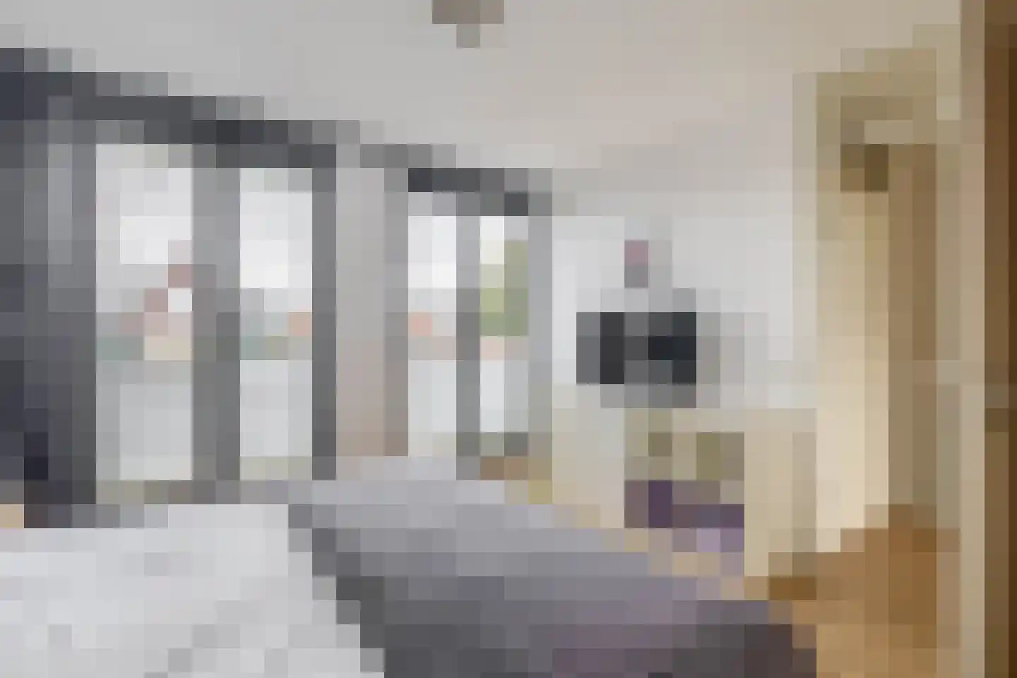 Hoge Horn 8 Zaandam thumbnail 27