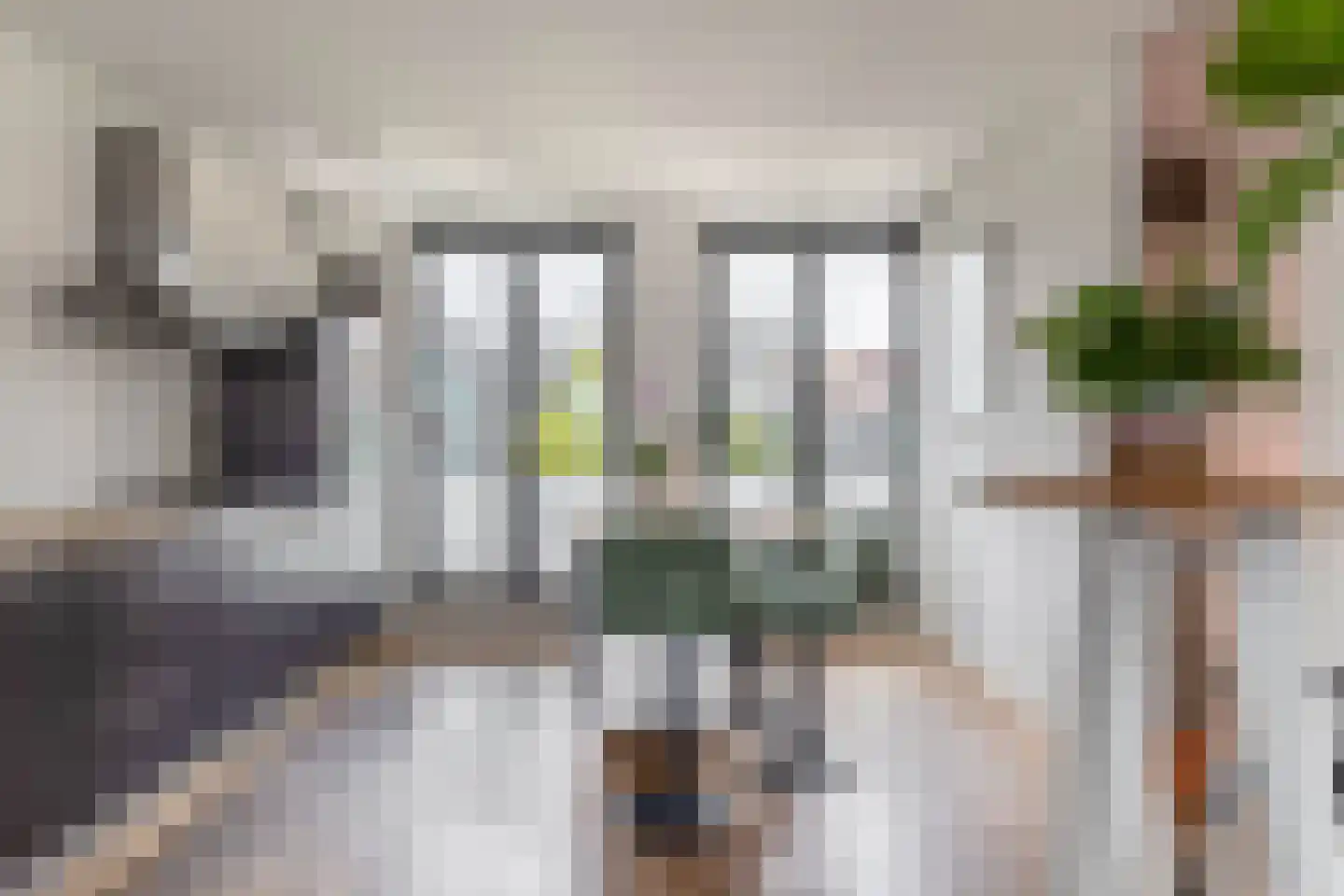 Hoge Horn 8 Zaandam thumbnail 5