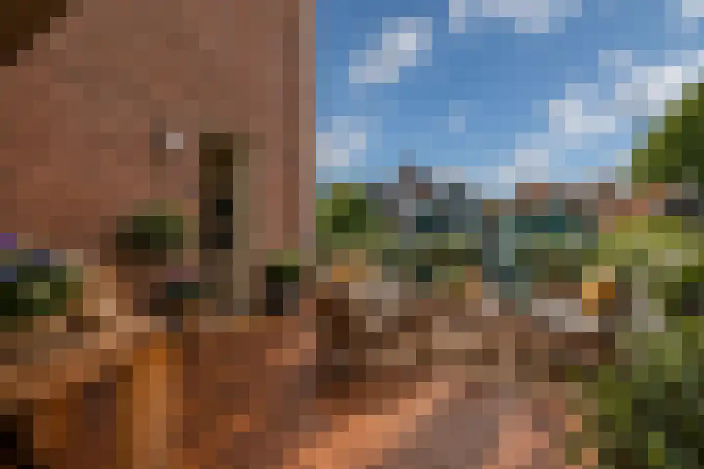 Hoge Horn 8 Zaandam thumbnail 7