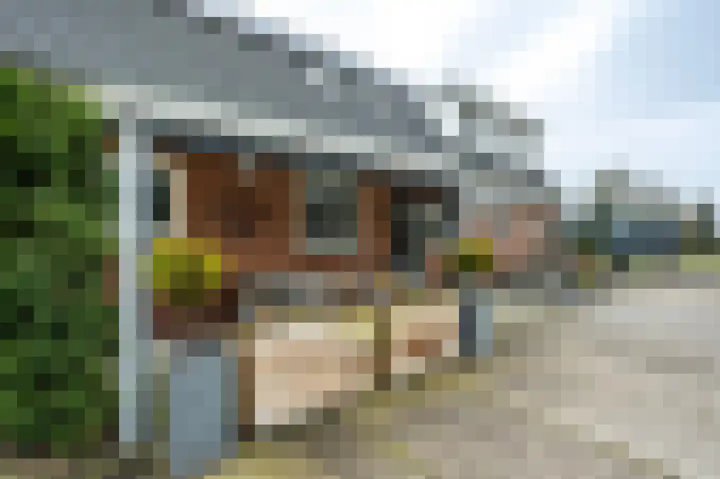 Hoge Horst 47 Groesbeek thumbnail 4