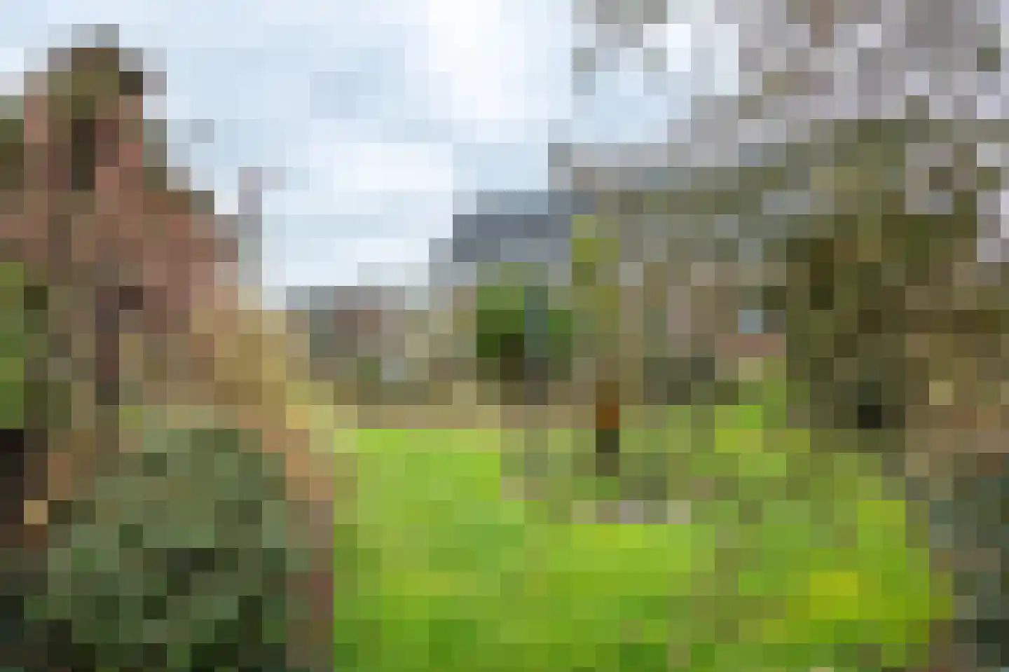 Hoge Horst 47 Groesbeek thumbnail 54