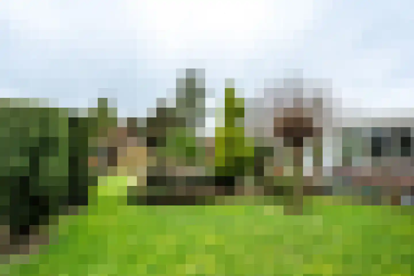 Hoge Horst 47 Groesbeek thumbnail 55