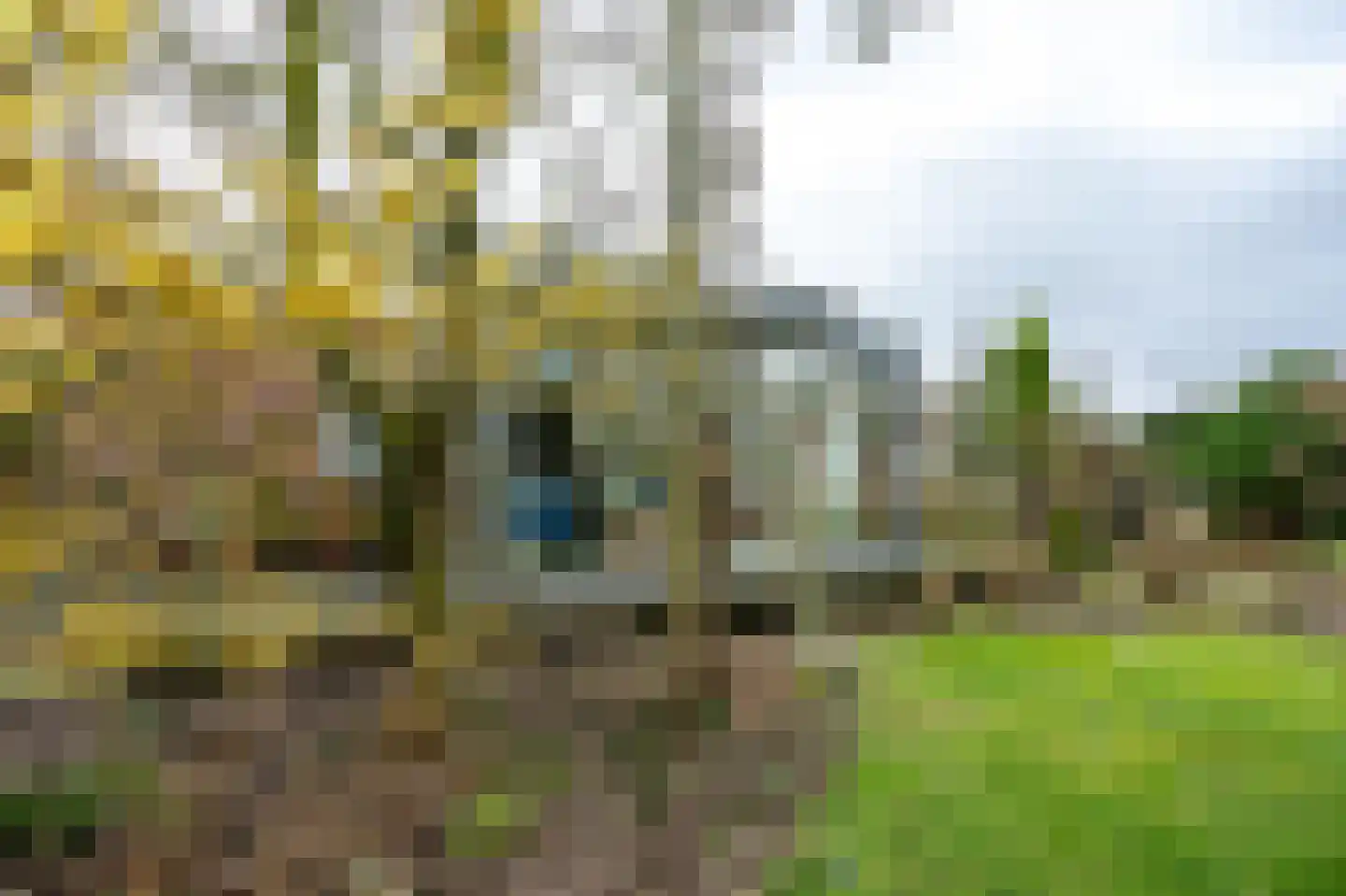 Hoge Horst 47 Groesbeek thumbnail 56