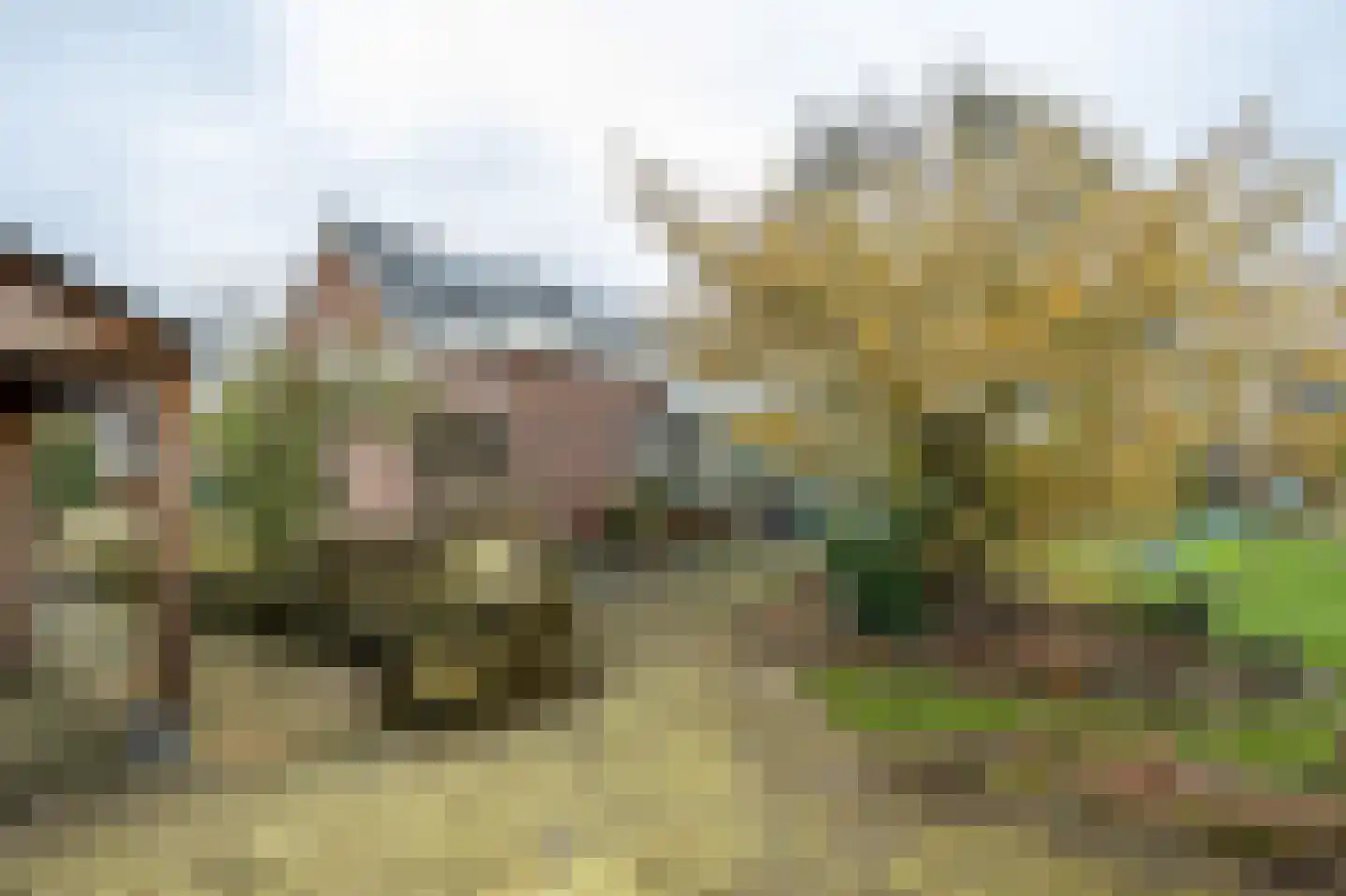 Hoge Horst 47 Groesbeek thumbnail 58