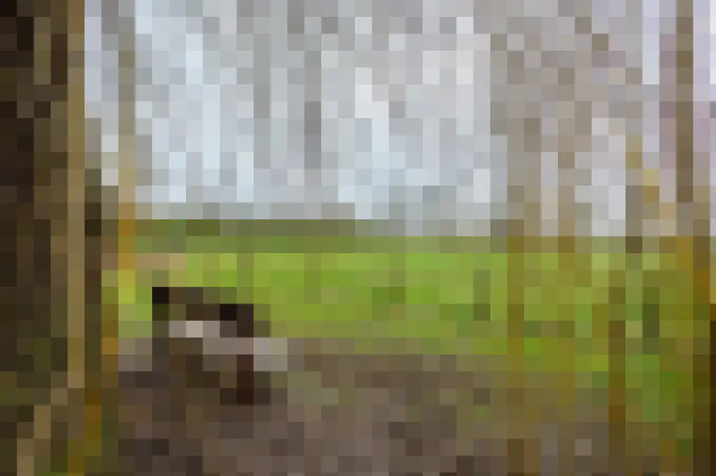 Hoge Horst 47 Groesbeek thumbnail 63