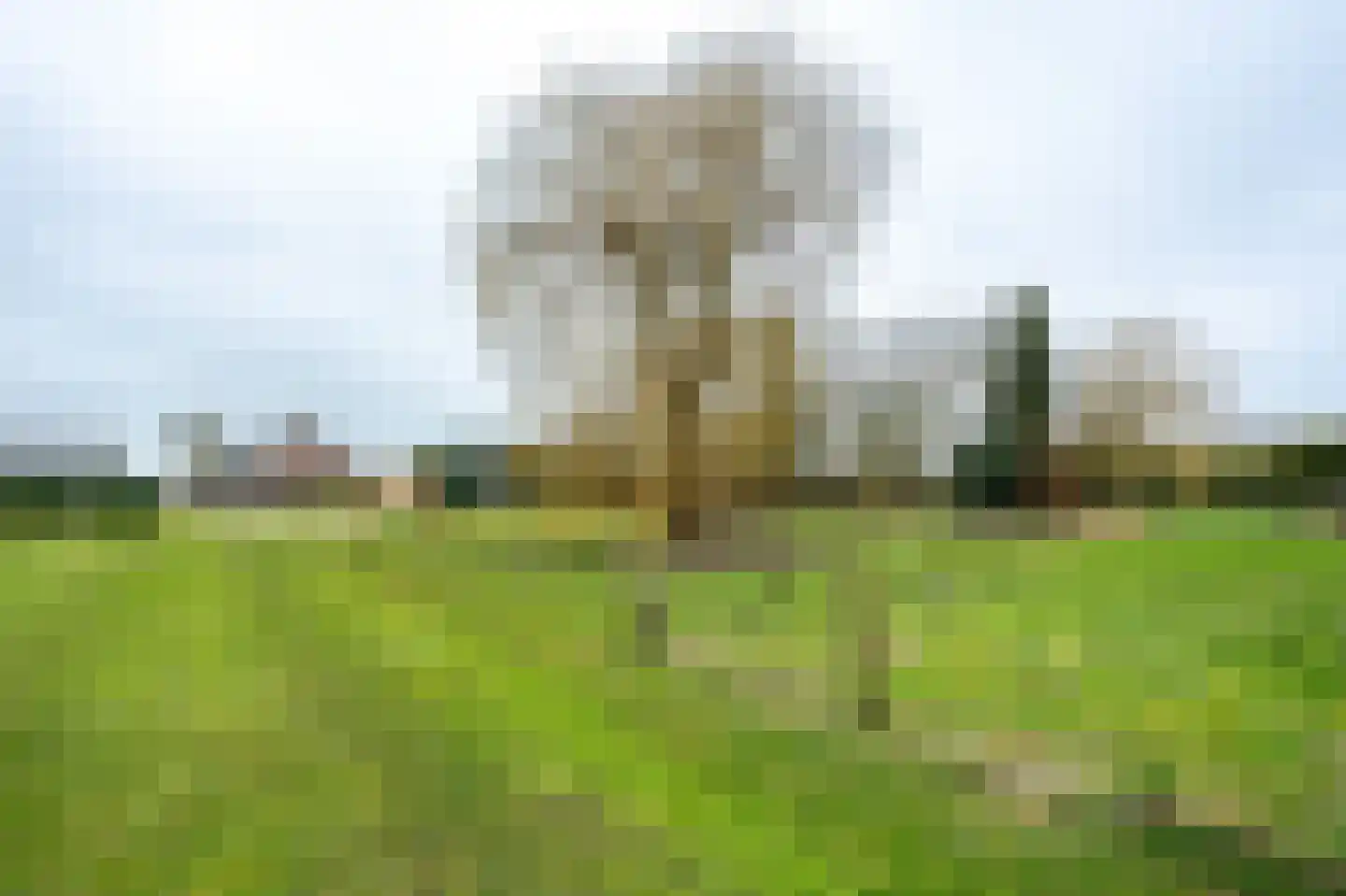 Hoge Horst 47 Groesbeek thumbnail 65