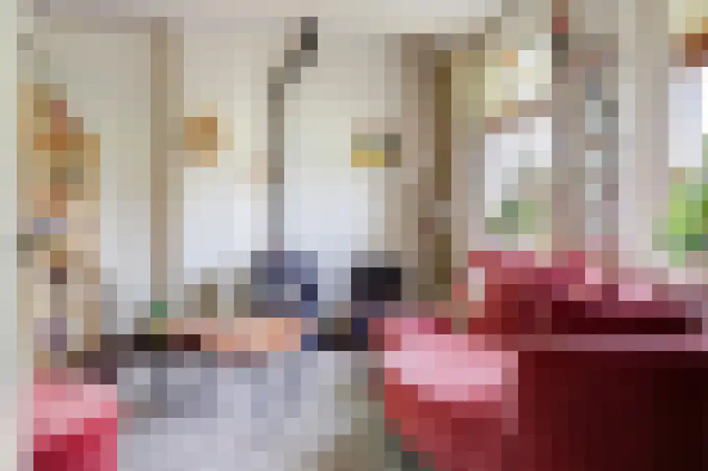 Hoge Kade 3 Hendrik-Ido-Ambacht thumbnail 18