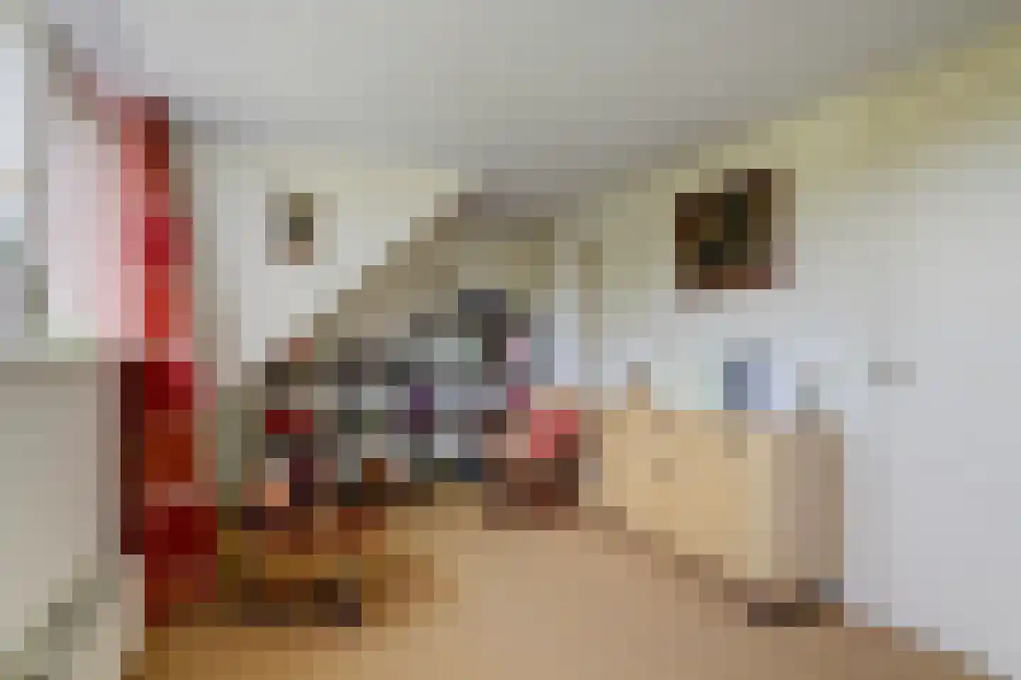 Hoge Kade 3 Hendrik-Ido-Ambacht thumbnail 35