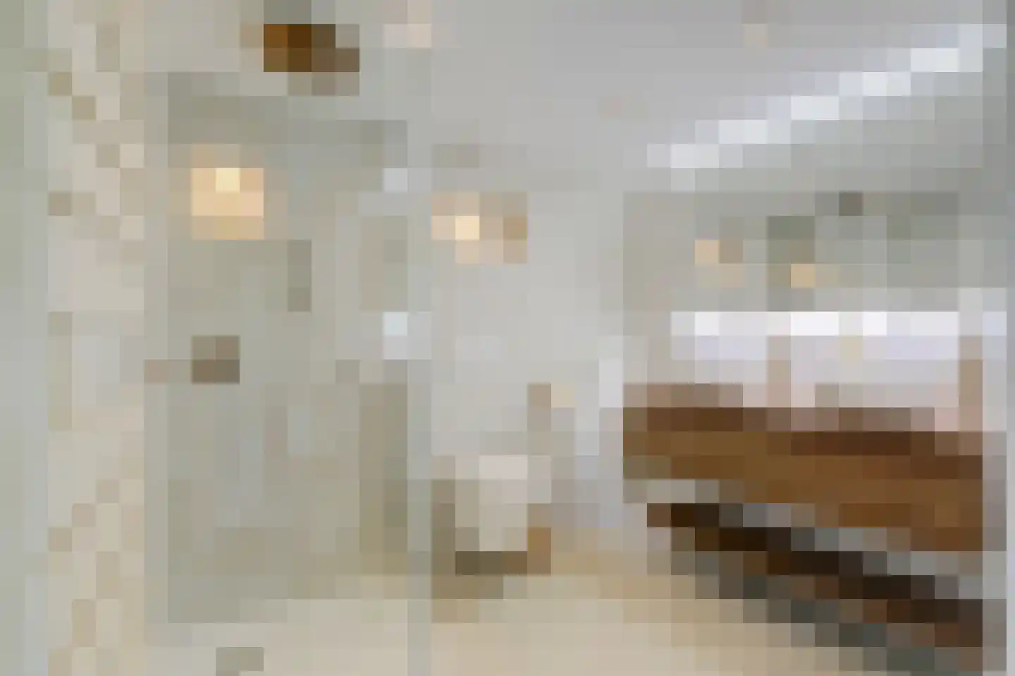 Hoge Kade 3 Hendrik-Ido-Ambacht thumbnail 39