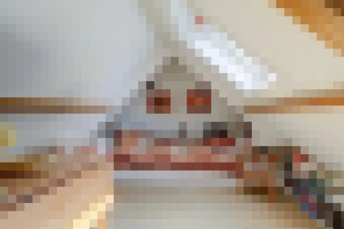 Hoge Kade 3 Hendrik-Ido-Ambacht thumbnail 41
