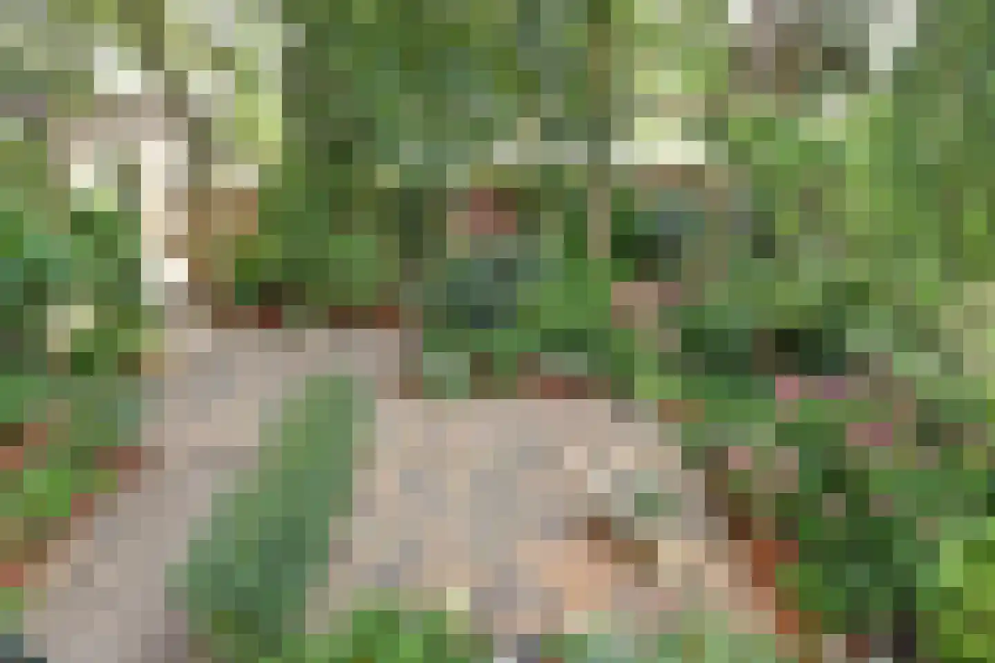 Hoge Kade 3 Hendrik-Ido-Ambacht thumbnail 48