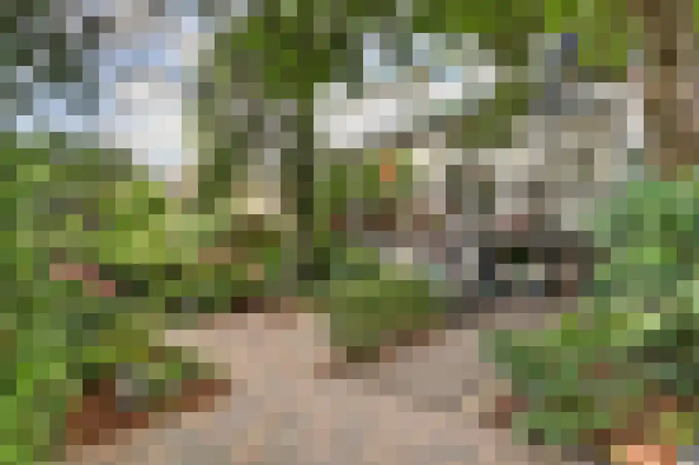 Hoge Kade 3 Hendrik-Ido-Ambacht thumbnail 52