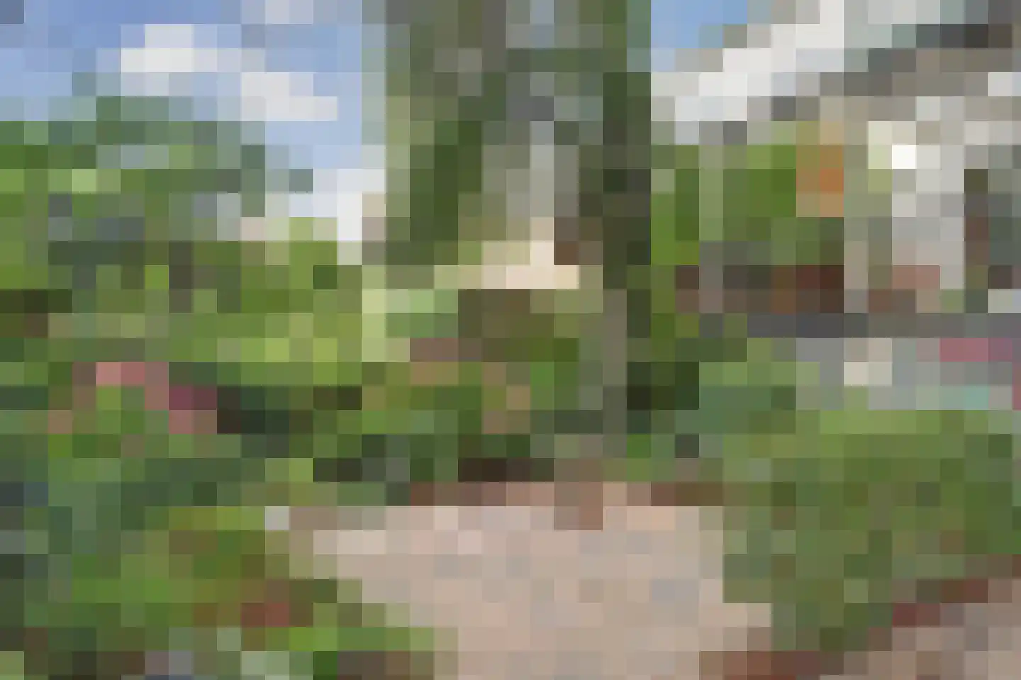 Hoge Kade 3 Hendrik-Ido-Ambacht thumbnail 53