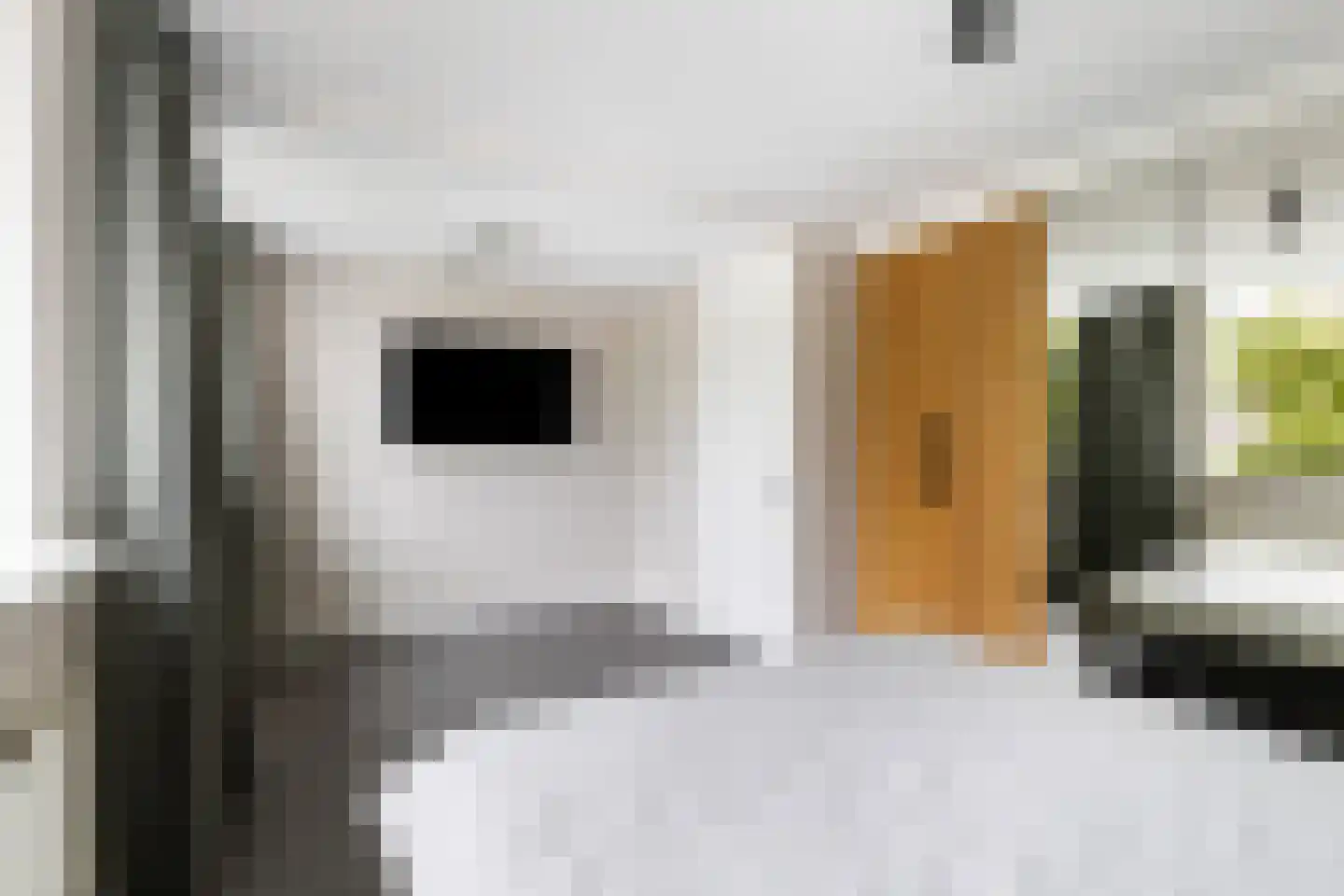 Hoge Kamp 27 Ermelo thumbnail 22