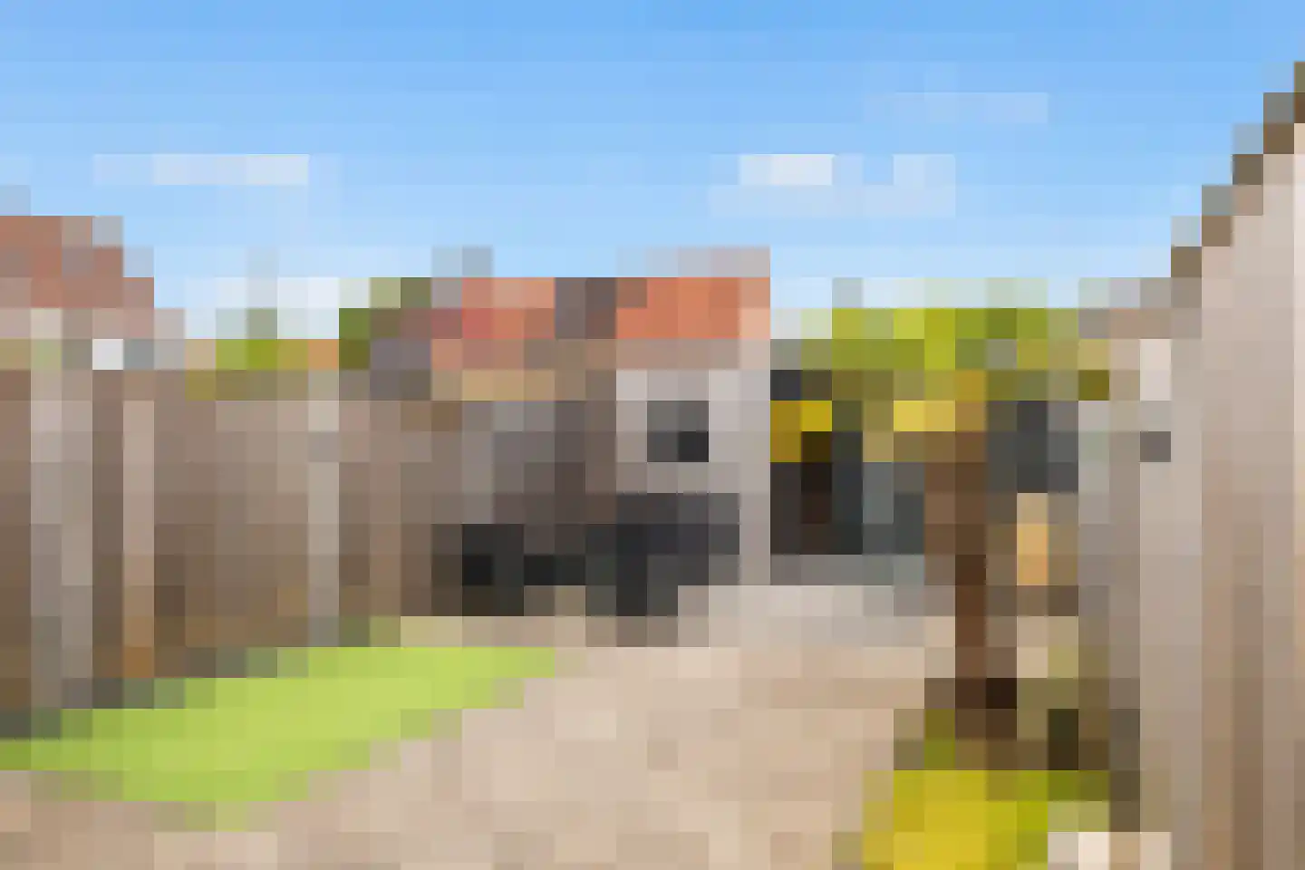 Hoge Kamp 27 Ermelo thumbnail 39